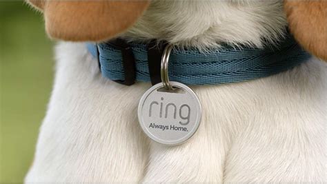 ring pet tag smb|ring's new pet tag.